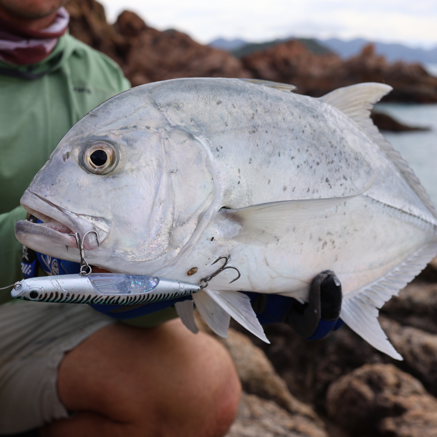 Glittershad 135F - Ghost mackerel