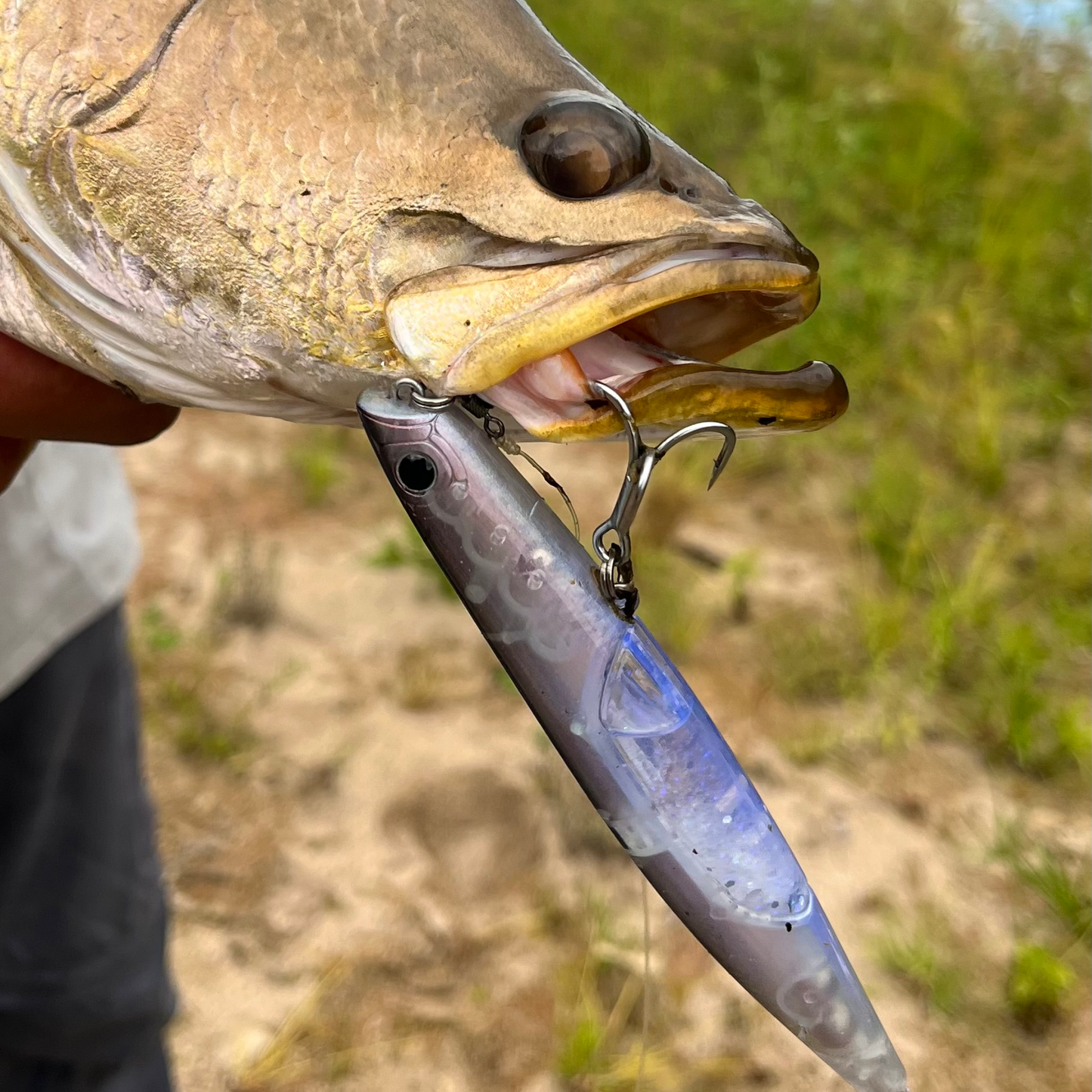 Glittershad 135F - Midnight mako