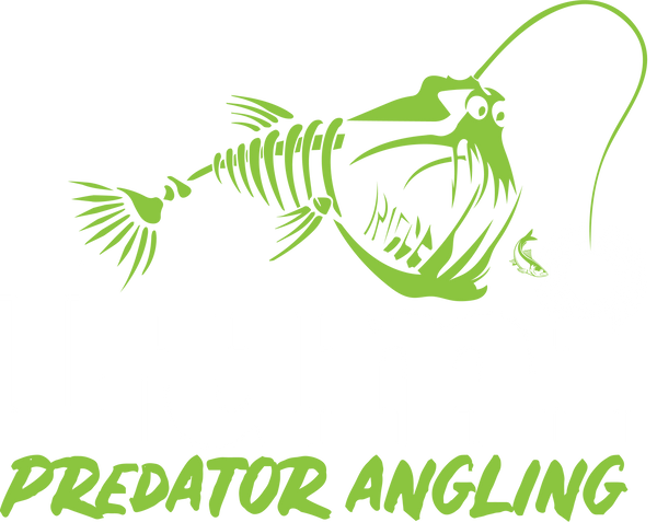 Lumi Predator Angling 